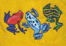 Poison Dart Frog amphibian hat embroidered cap baseball trucker Embroidered Cap