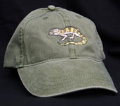 Banded Gecko Hat lizard Embroidered Cap