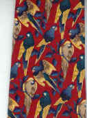 Maccaw Parrot Tie Necktie