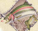 Trout Repeat Tie necktie Wild River trout Scene Tie Freshwater Fish Species Tie novelty conversation necktie silk