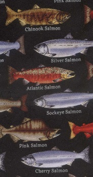 Wild River Salmon Scene Tie Freshwater Fish Species Tie novelty conversation necktie silk