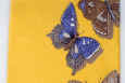 Butterfly silk tie necktie