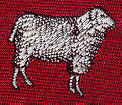 Black merino Sheep in the Flock Tie necktie