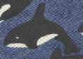 Killer whale orca Dolphin Marine mammal tie NECKTIES