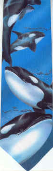 Killer whale orca Dolphin Marine mammal tie NECKTIES