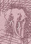 Elephant Sketch Tie