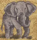 Elephant Tie