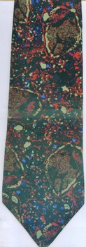 Microscopic photography of moon rock section Tie ties, neckwear, cycle ties, tye, neckwears Molecular Expressions